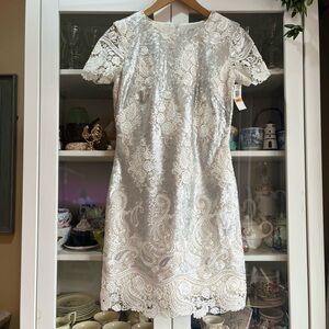 Dress the Population Sequin Lace Dress